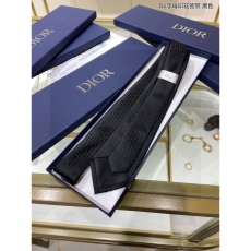 Christian Dior Neckties